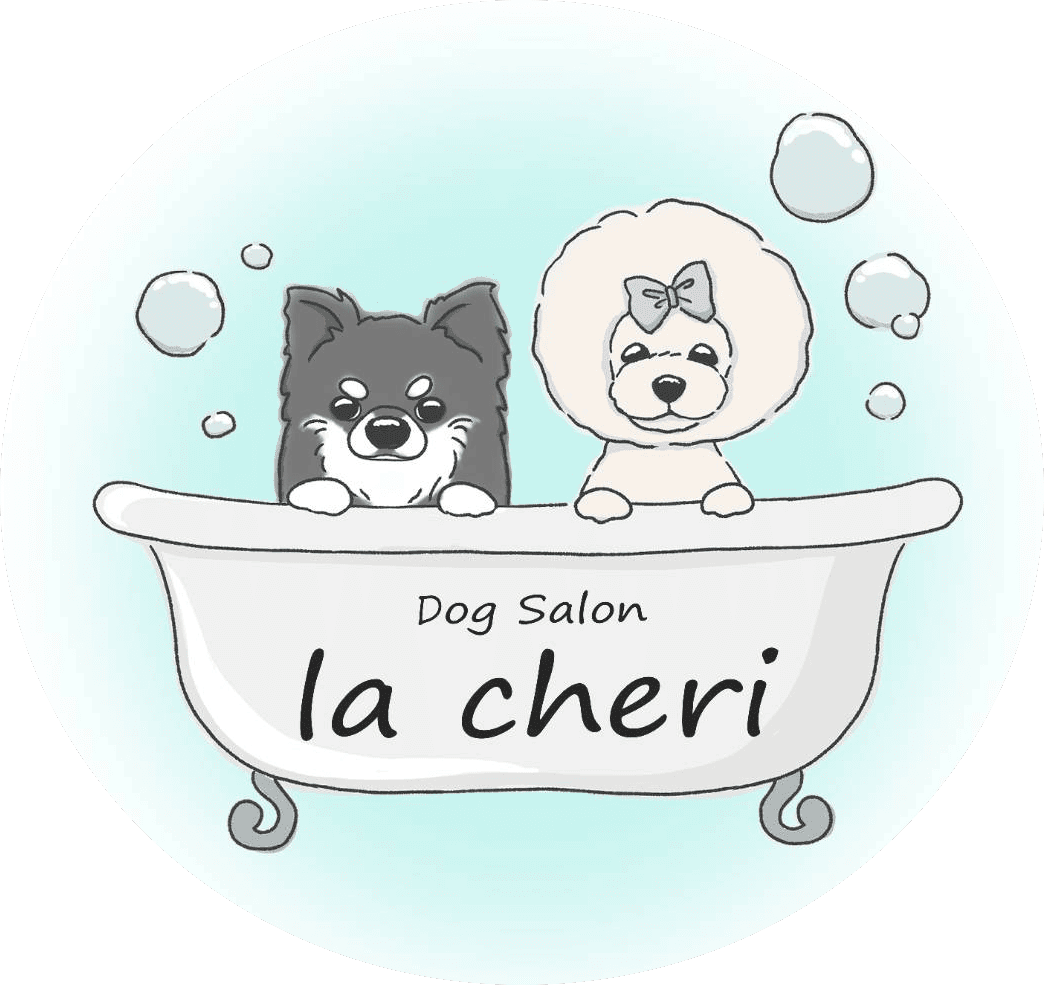 【山ノ内駅徒歩8分・西院駅徒歩9分】京都市右京区のトリミングサロン｜DogSalon la cheri